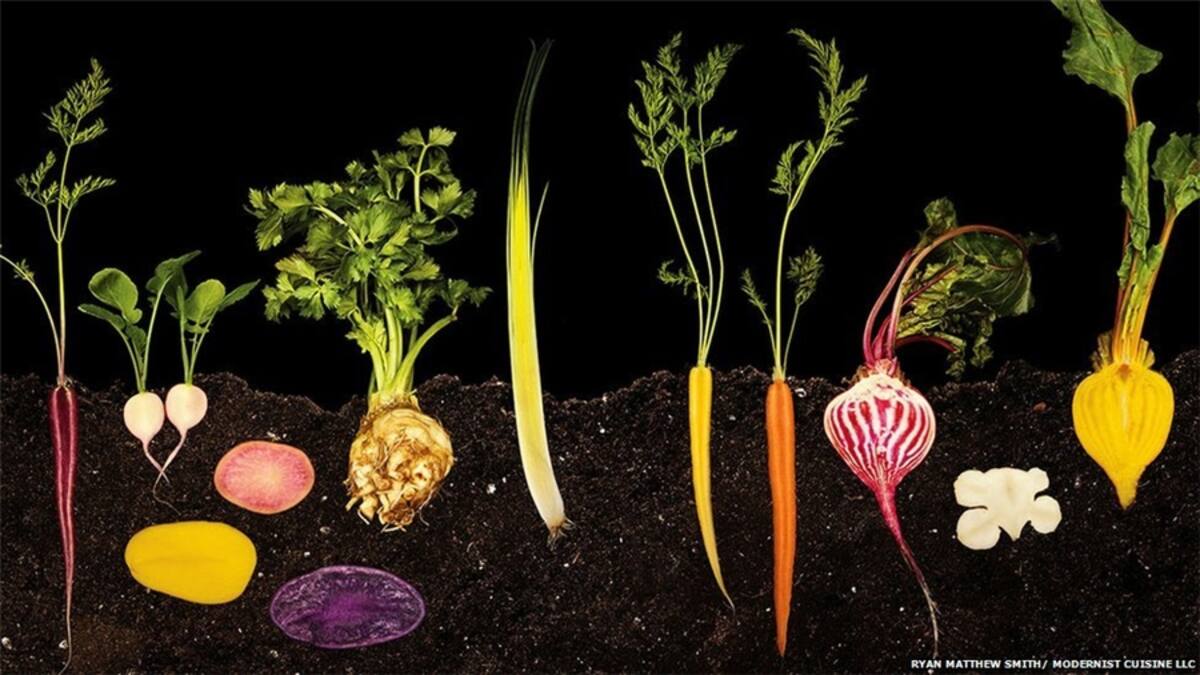 La coción a vapor de vegetales como brócoli retiene el color y los nutrientes, pero fotografiarlo supone muchos desafíos, explica Myhrvold. "Cómo dividir la cazuela en dos, colocar los cogollos de brócoli en una posición estable pero con una configuración que resulte natural, capturar planos del agua hirviendo y hacer una composición de todos los elementos".