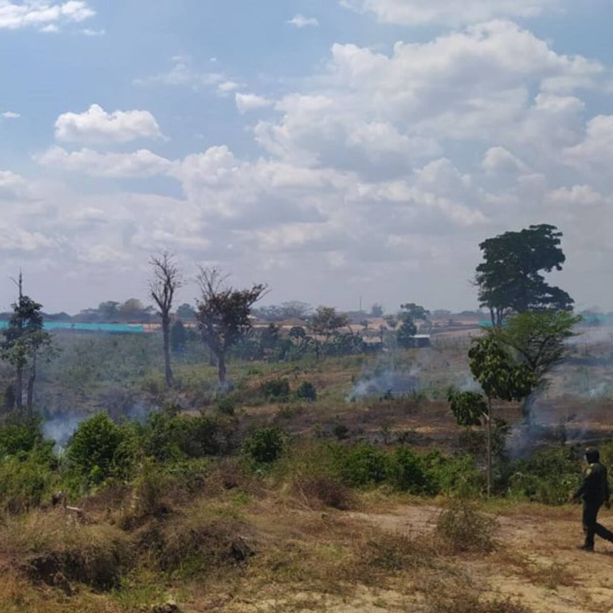 Organismos de socorro en el Magdalena en alerta por incendios forestales