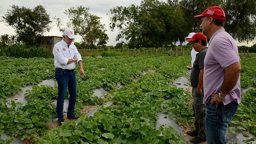 Agencia Nacional de Tierras . Foto: Colprensa