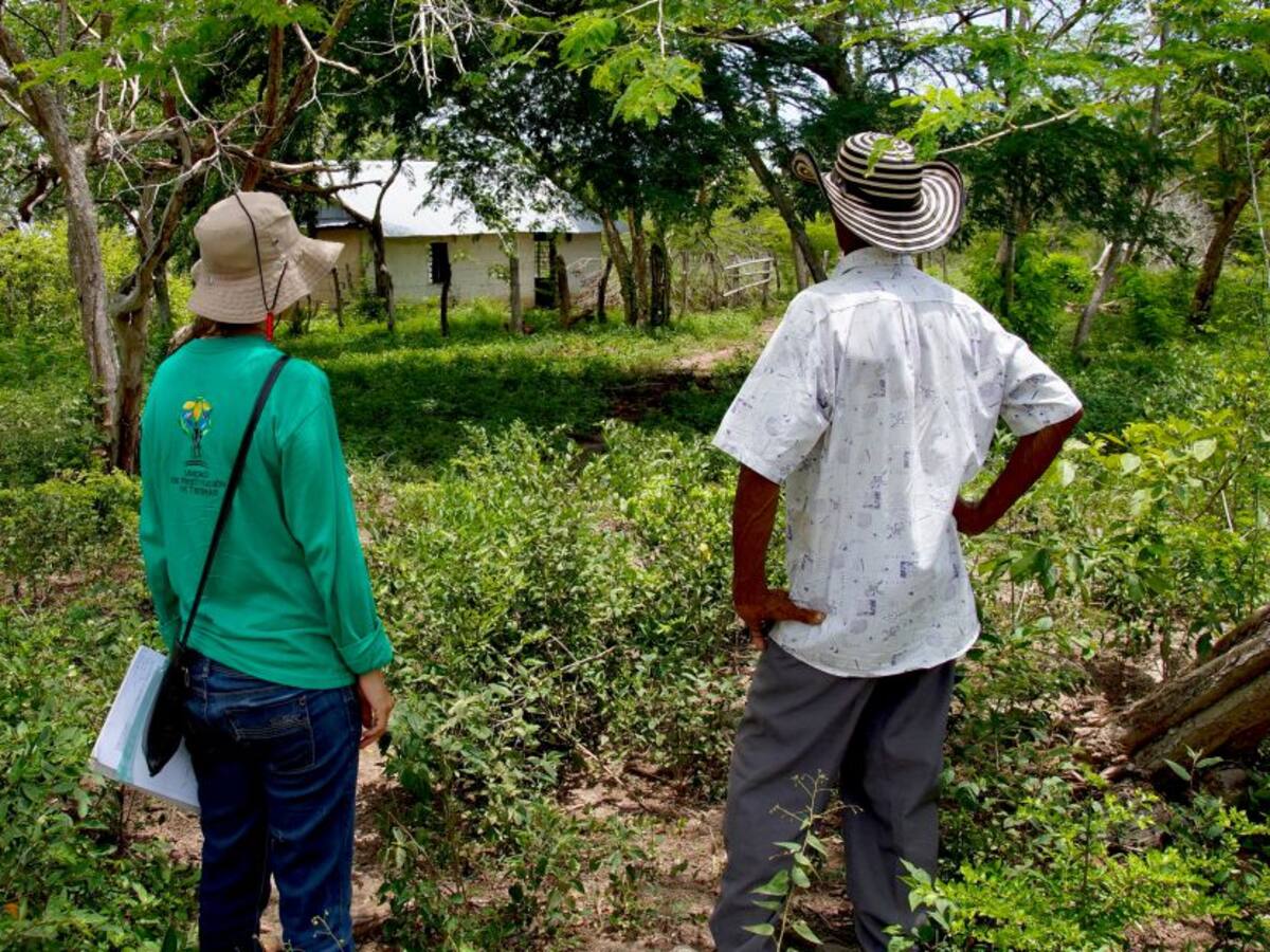 En lo que va del 2020 se han presentado 35 desplazamientos en Colombia