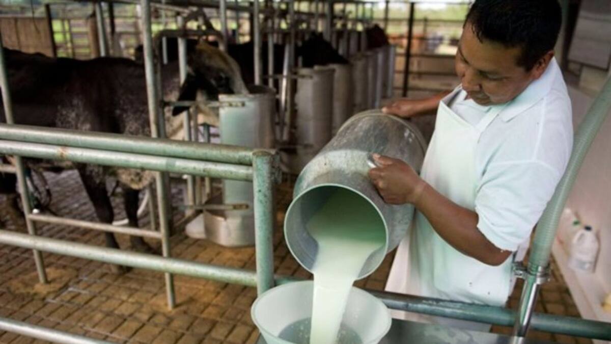 Boyacá apoya a sus campesinos con la compra de productos