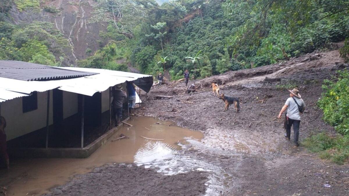 Cuatro municipios antioqueños atienden emergencias por las lluvias