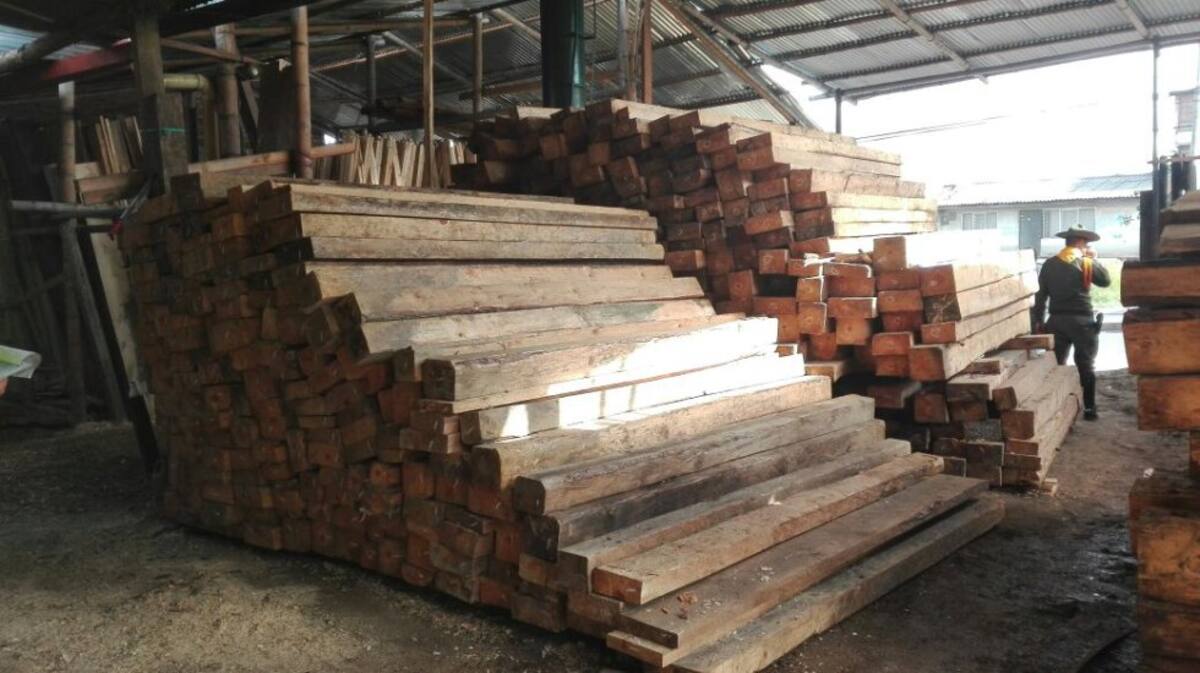 Más 140.000 hectáreas de bosques tropicales perdió Colombia con el tráfico de madera.