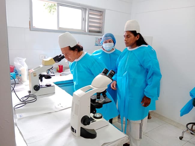 Lanzan plan piloto de pruebas rápidas para detectar enfermedad de Chagas