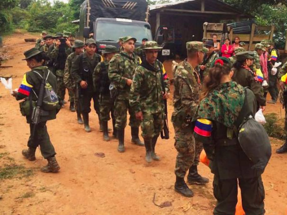 Excombatientes solo podrán salir del país si cumplen dos condiciones: JEP
