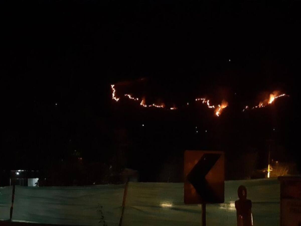 Se reanudan labores para combatir incendio forestal en Melgar