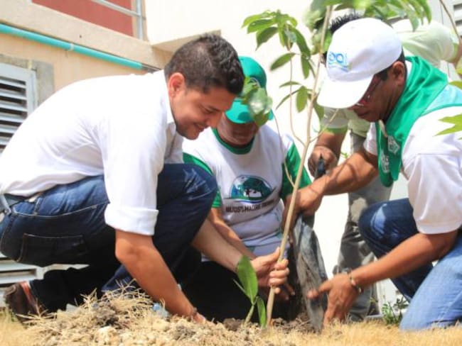 Siembran 250 árboles en celebración del Día de la Tierra de Cartagena