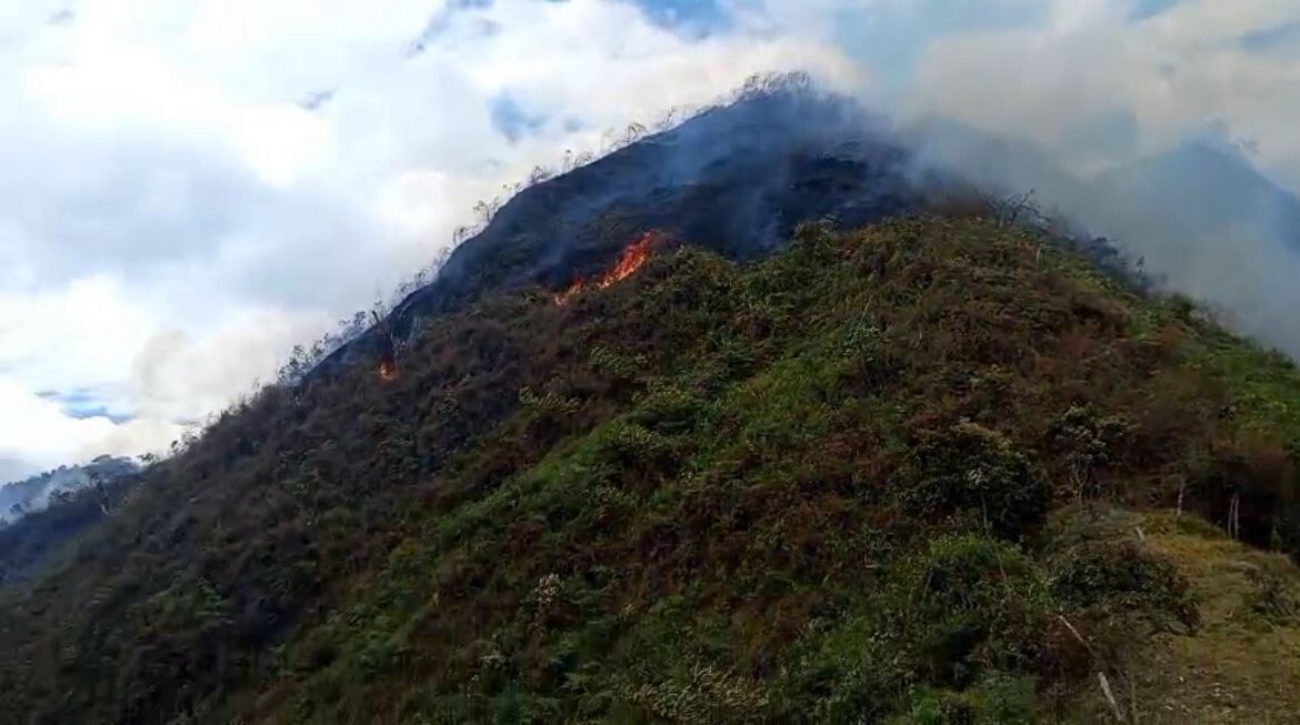 Incendio forestal de 5 hectáreas en la vereda de Timaná. Foto: Bomberos de Cundinamarca.