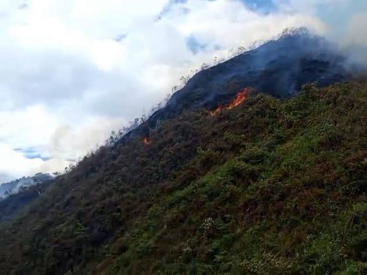 Bomberos atienden incendio forestal en Pacho, Cundinamarca