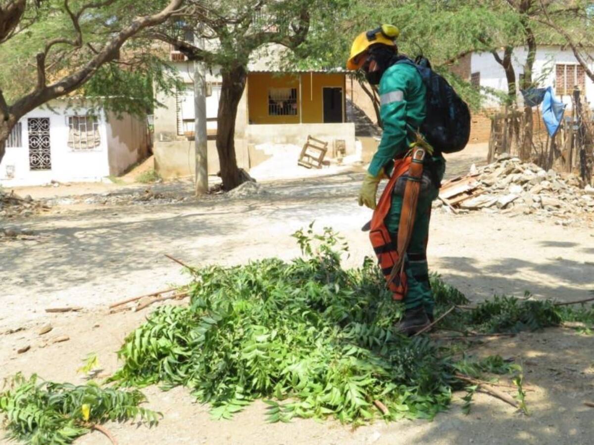 Interaseo a Tu Lado, estrategia con valor social en barrios de Santa Marta