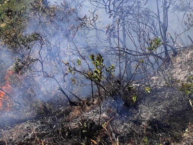 50 incendios de cobertura vegetal se han registrado en Risaralda