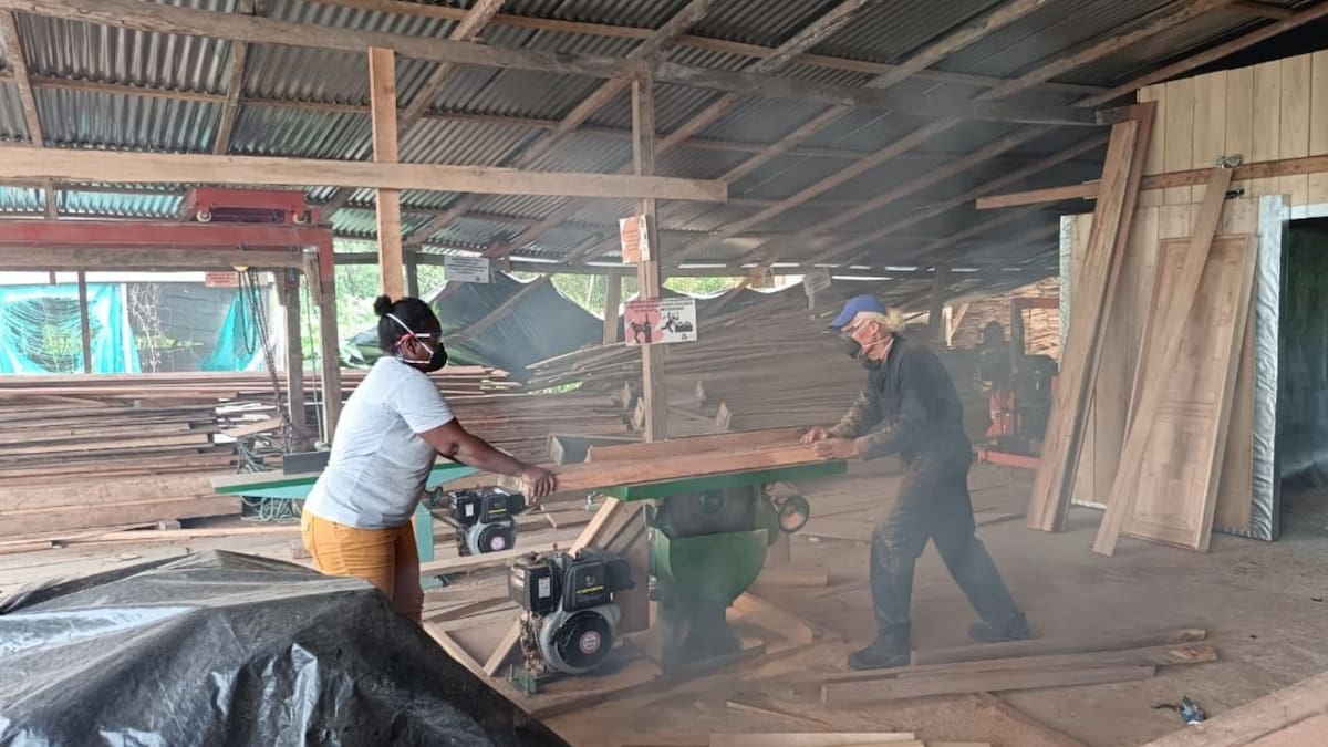 La primera organización afro en Latam certificada en prácticas madereras sostenibles es colombiana