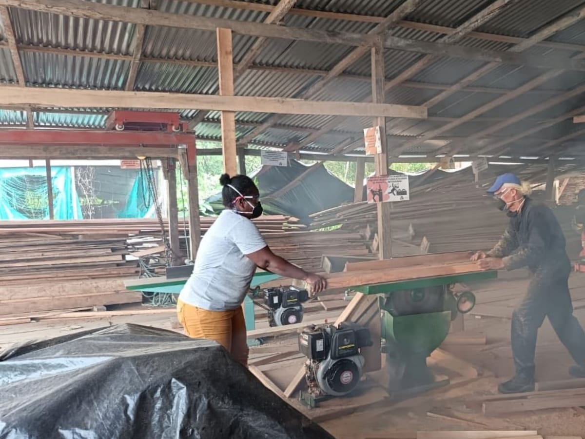 La primera organización afro en Latam certificada en prácticas madereras sostenibles es colombiana