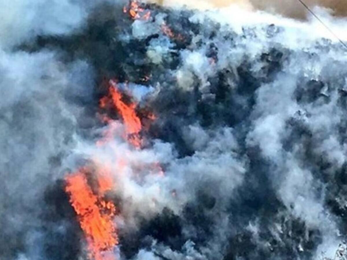 Se reanudan labores para controlar incendio forestal en el Guamo, Tolima