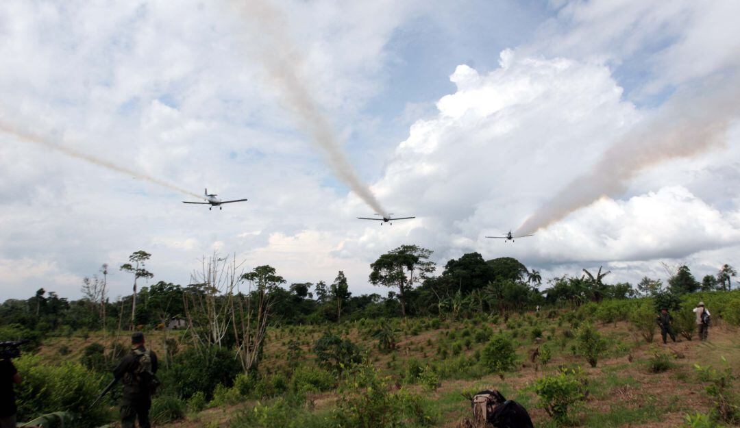 Foto referente a la aspersión con glifosato en un cultivo de coca