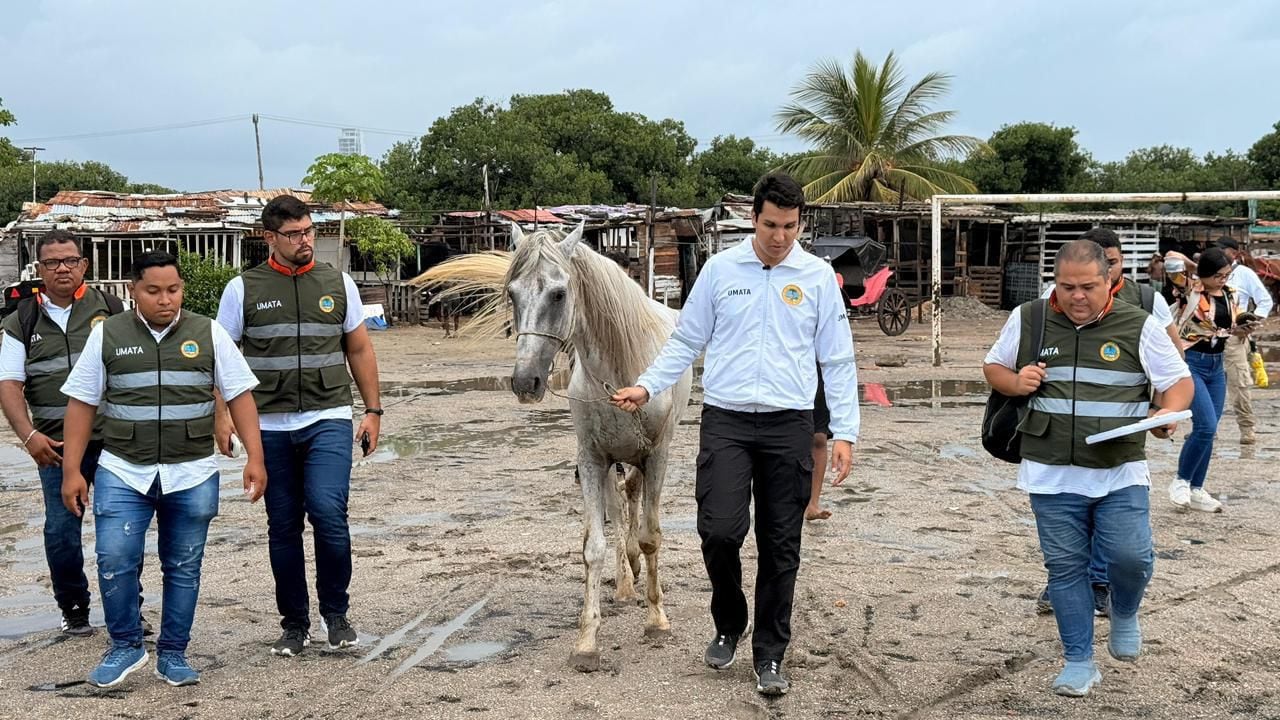 Alcaldía de Cartagena