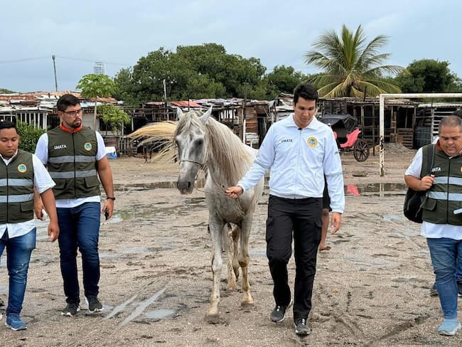Alcaldía de Cartagena