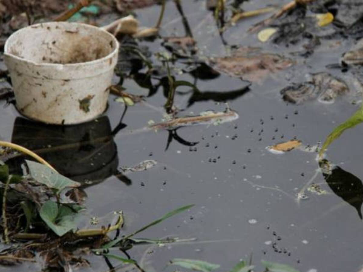 “El zika ya está en 18 países y los servicios de salud se deben preparar para una mayor demanda”