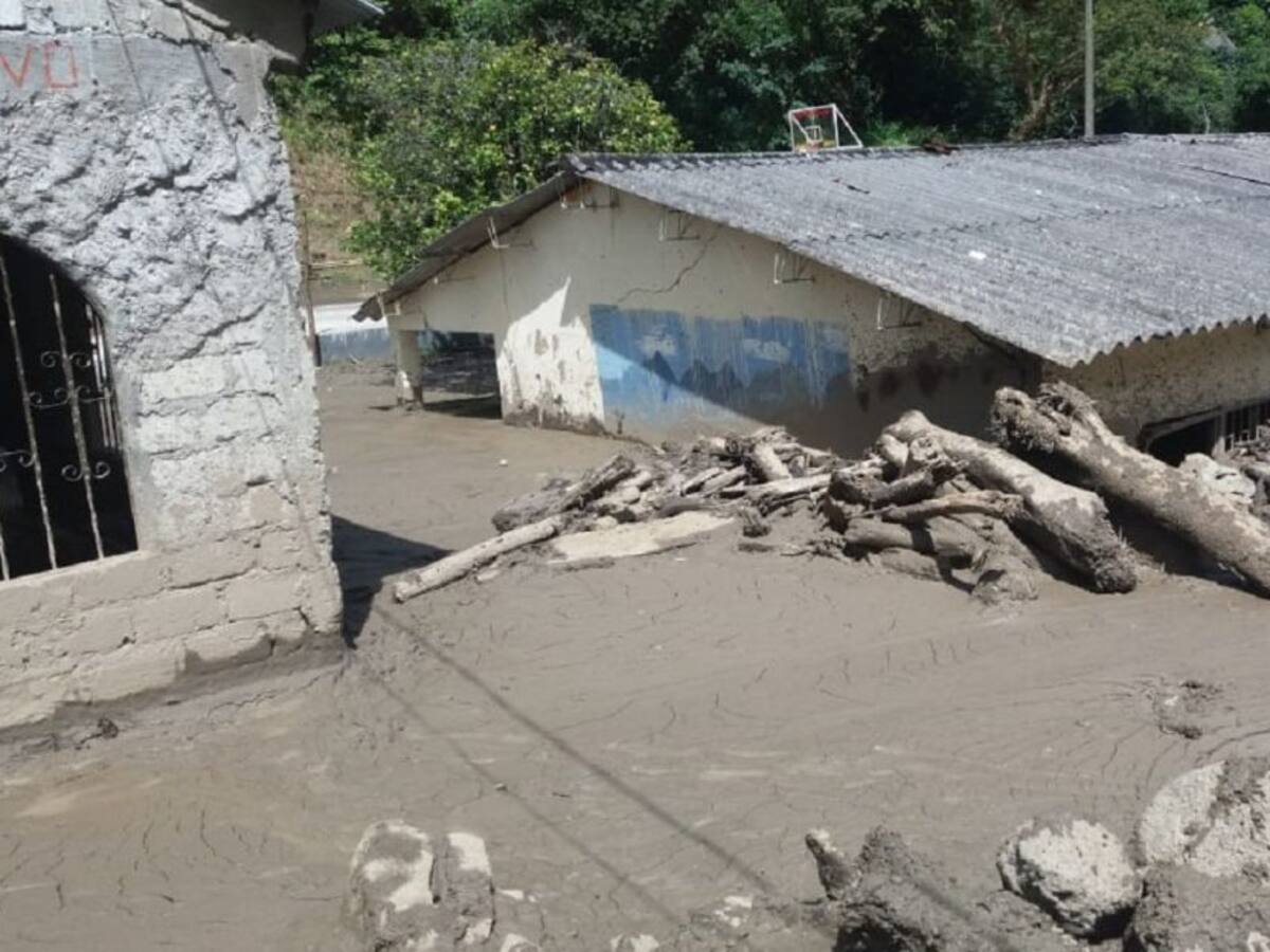 Ganadería y deforestación habrían generado emergencia en Chaparral, Tolima