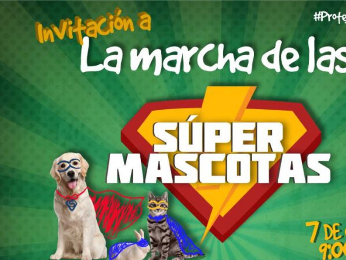 Las mascotas marcharán en Manizales