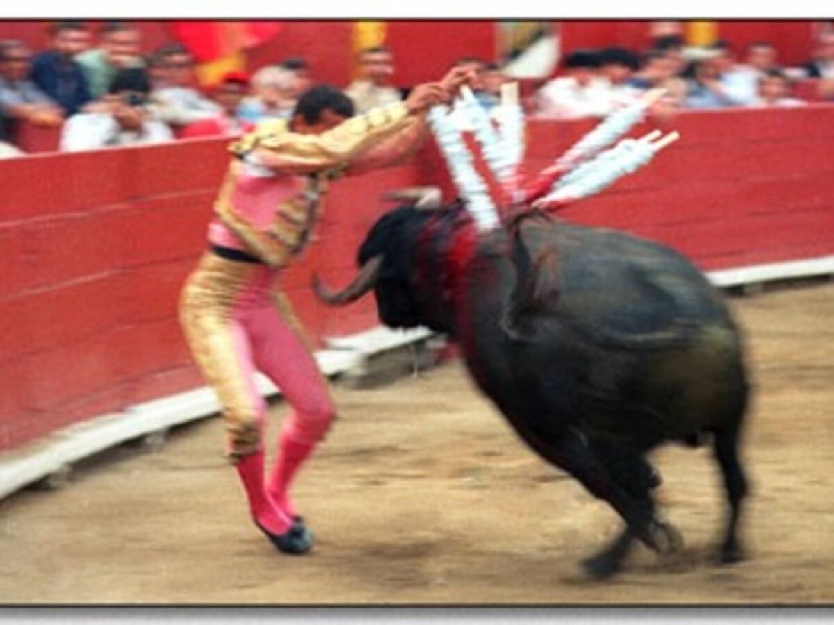 El 78% de los colombianos desaprueba las corridas de toros, revela sondeo de Caracol Radio