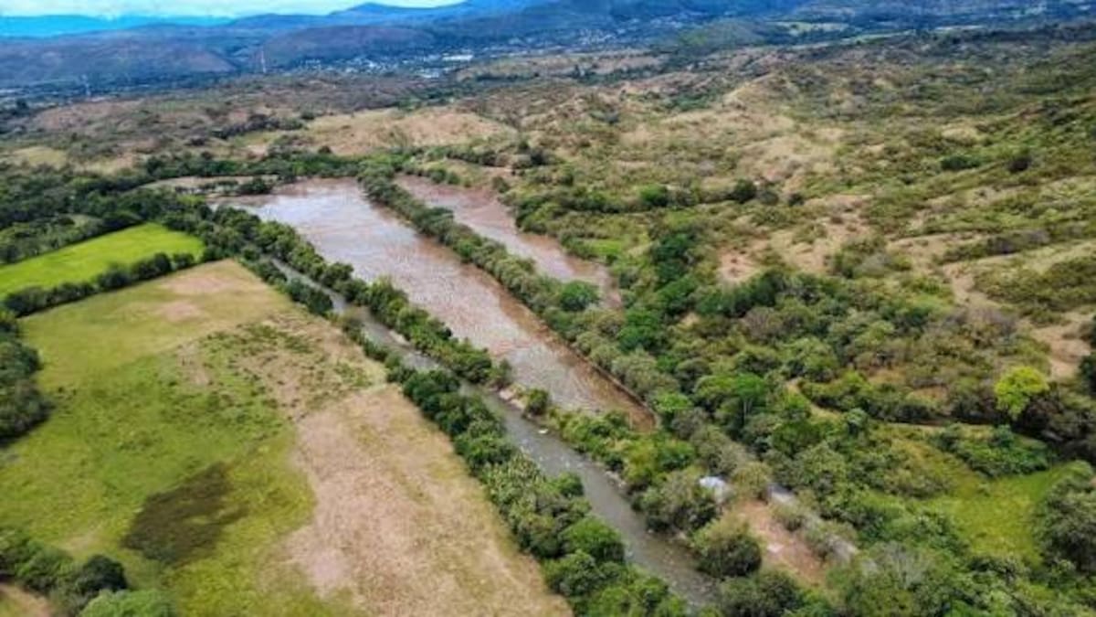 Prácticas ilegales dejan a productores arroceros del Huila en crisis