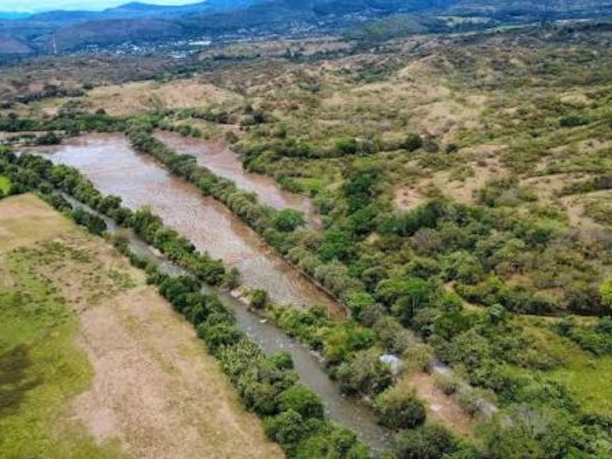 Prácticas ilegales dejan a productores arroceros del Huila en crisis