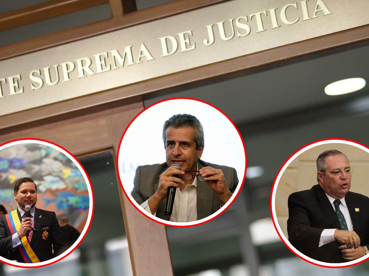 Ministro del interior, Luis Fernando Velasco, declaró ante la Corte Suprema de Justicia