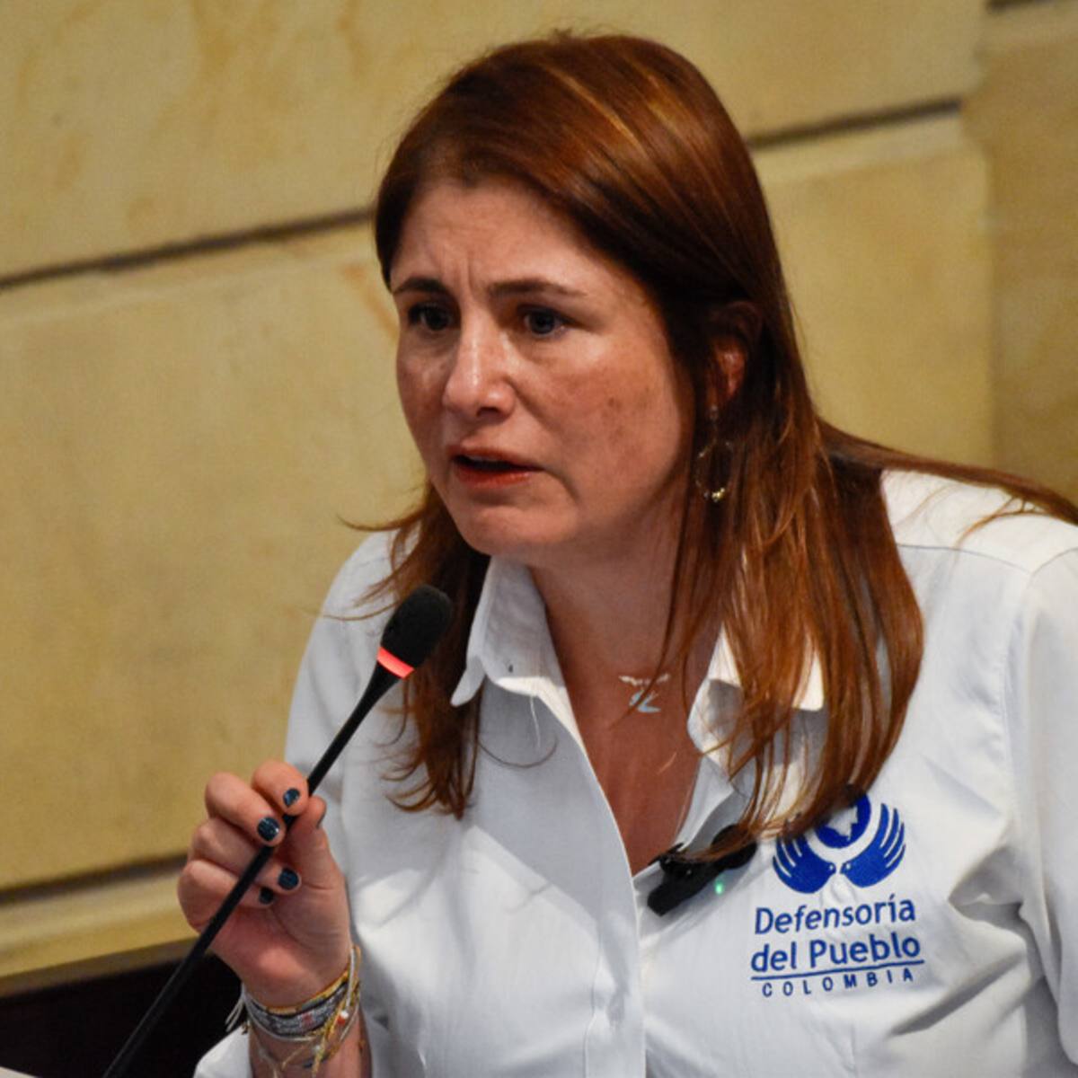 “Pedimos a los grupos armados cesar de inmediato los ataques”: Defensoría