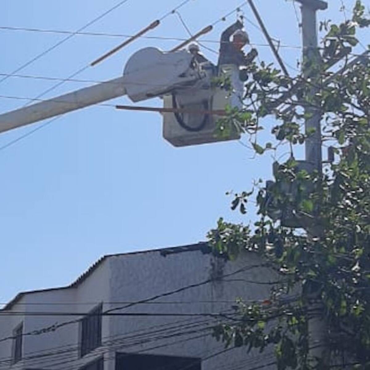 Incrementa atención de daños eléctricos por fuertes brisas en Santa Marta