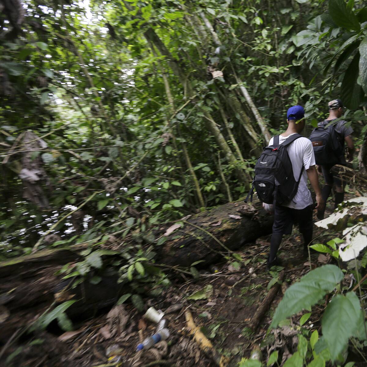 Asesinan a tres personas en la selva del Darién: dos ladrones y un migrante haitiano
