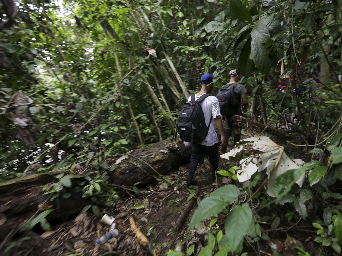 Asesinan a tres personas en la selva del Darién: dos ladrones y un migrante haitiano