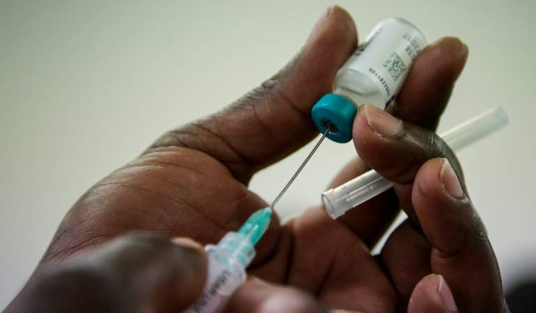 Imagen de referencia 