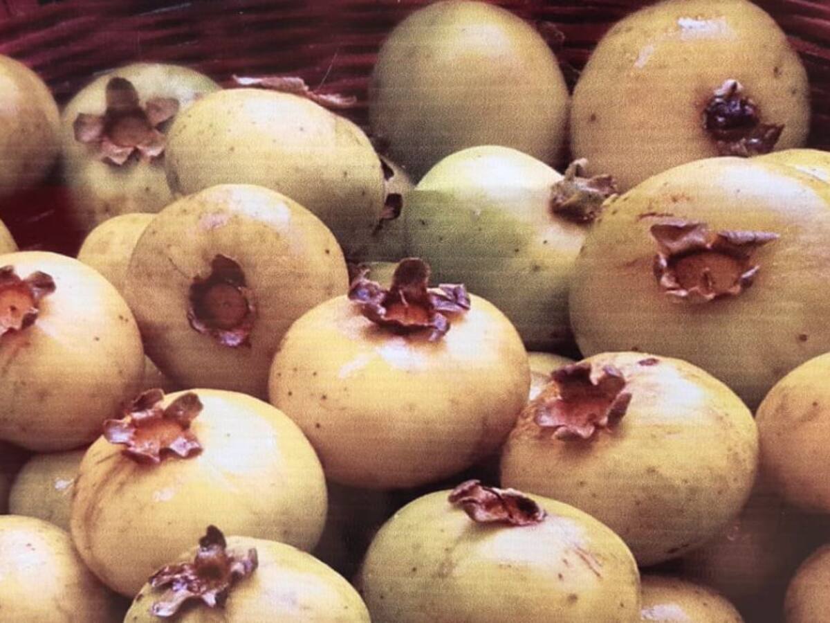 La chamba, una deliciosa fruta con sabor a Boyacá