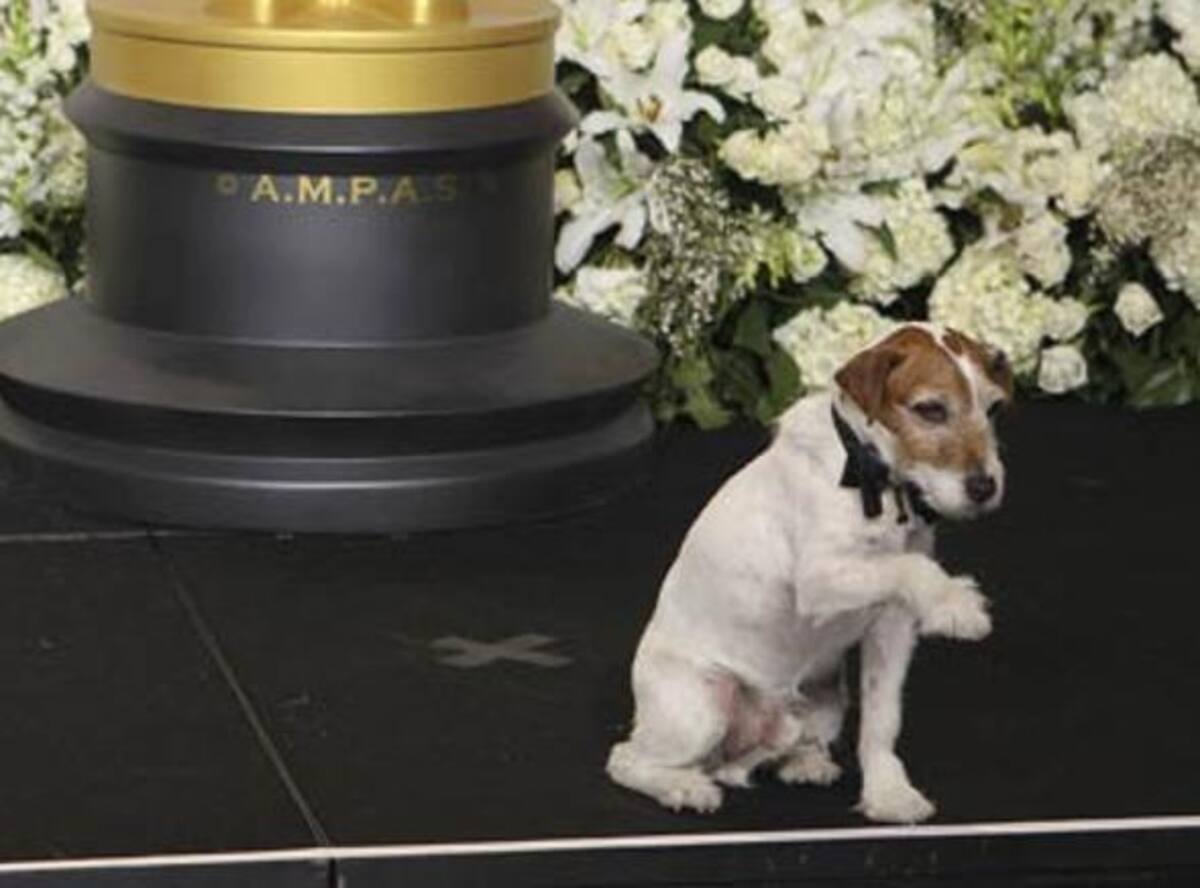 Uggie, el perro de la película El Artista, acude a la gala de 2012.