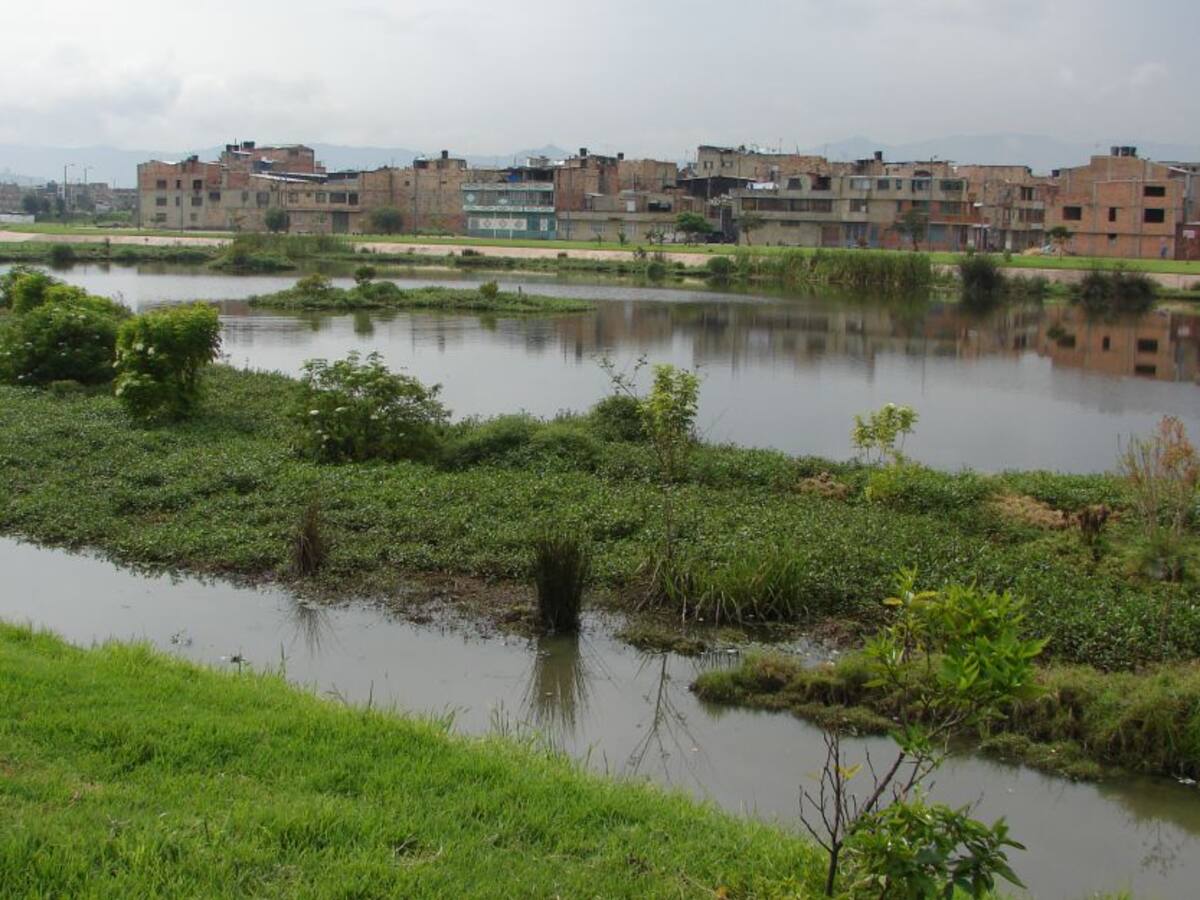 Hasta se atan a las máquinas: ambientalistas se oponen a obras en humedal