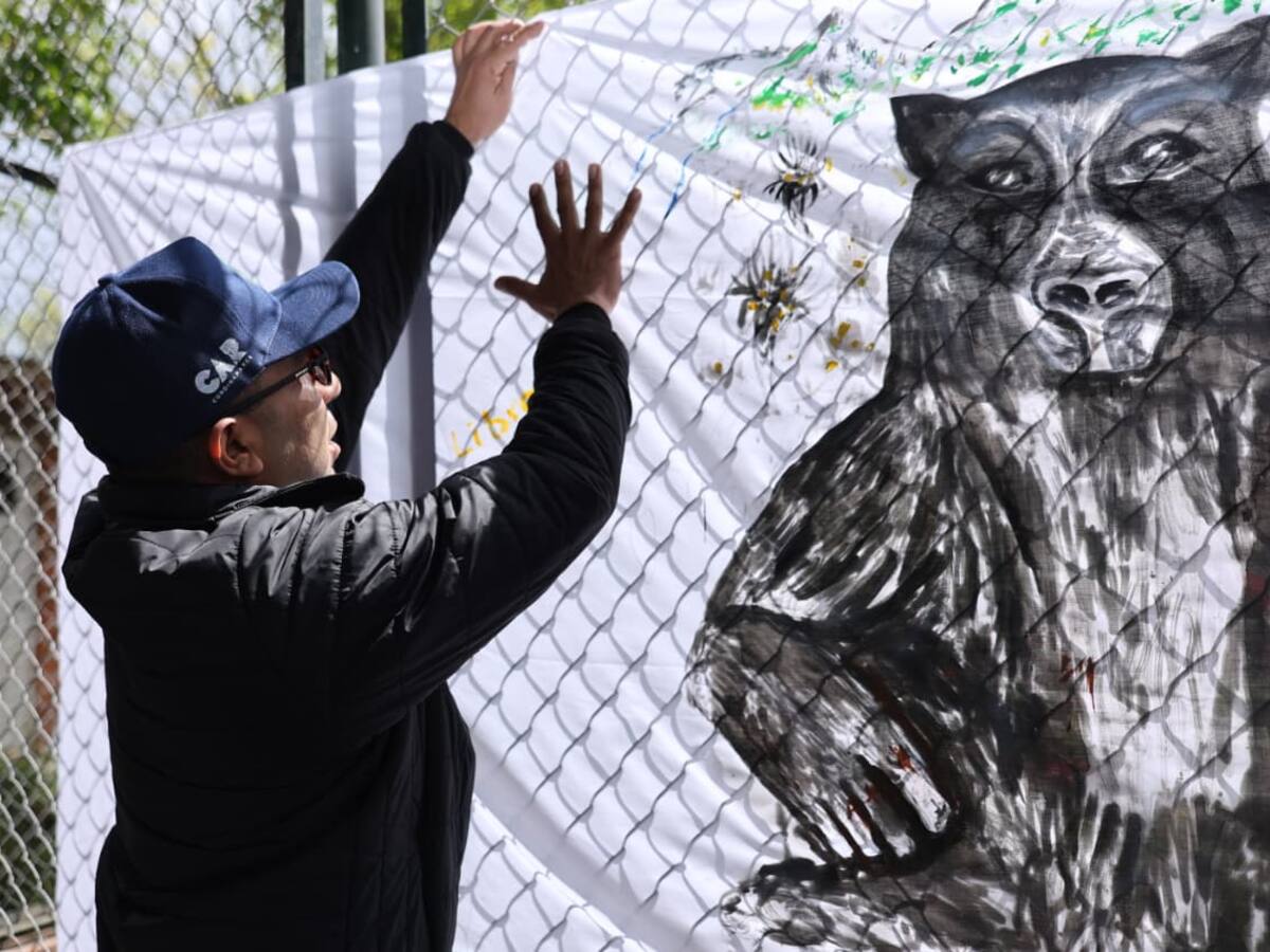 Cundinamarca y Boyacá firman pacto para proteger al oso andino