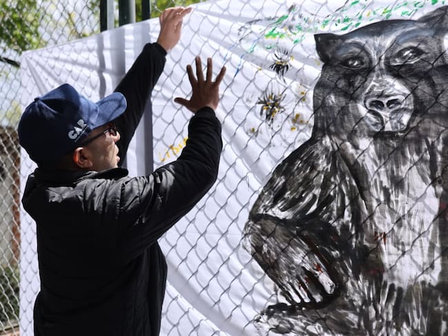 Cundinamarca y Boyacá firman pacto para proteger al oso andino. Foto: CAR