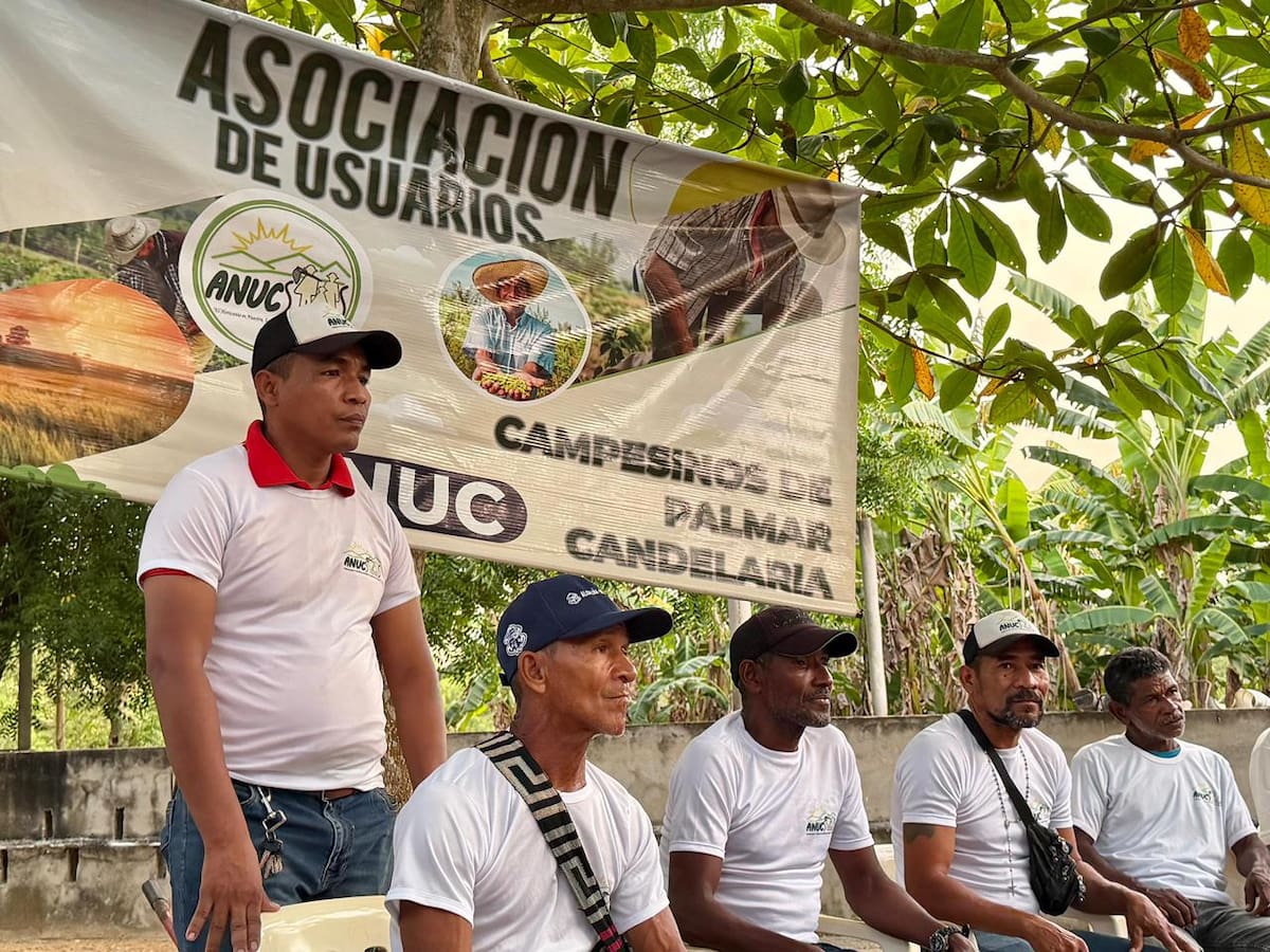 Con el apoyo de la ANT, 60 familias campesinas de la ANUC se convierten en dueñas de 300 hectárea