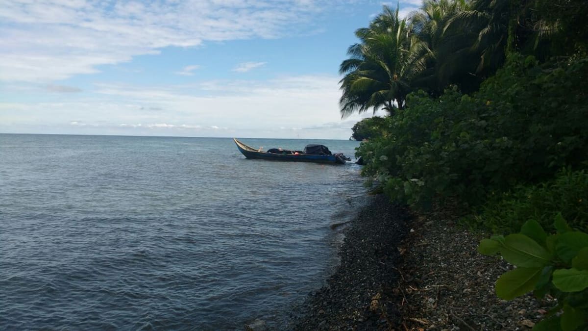 Polémica por construcción de muelle en isla Gorgona, ¿qué implicaciones tiene?