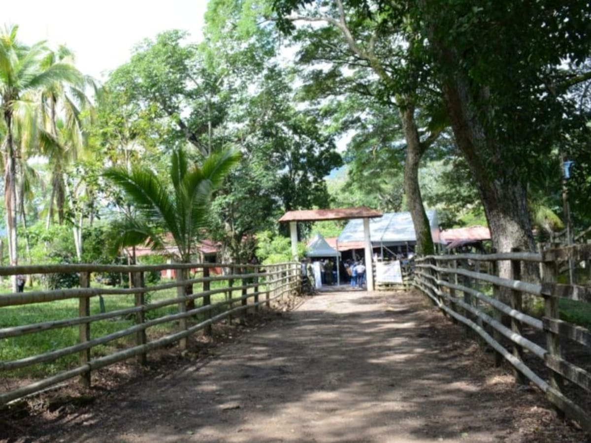Entregaron terrenos a los excombatientes en el Huila