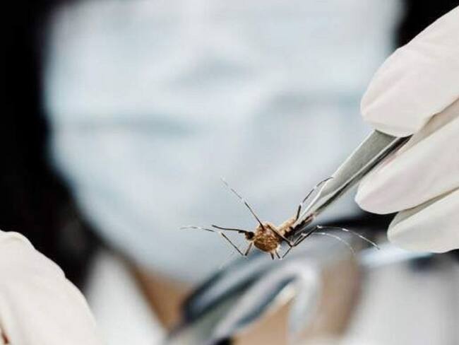 Bucaramanga ya no está en alerta por dengue