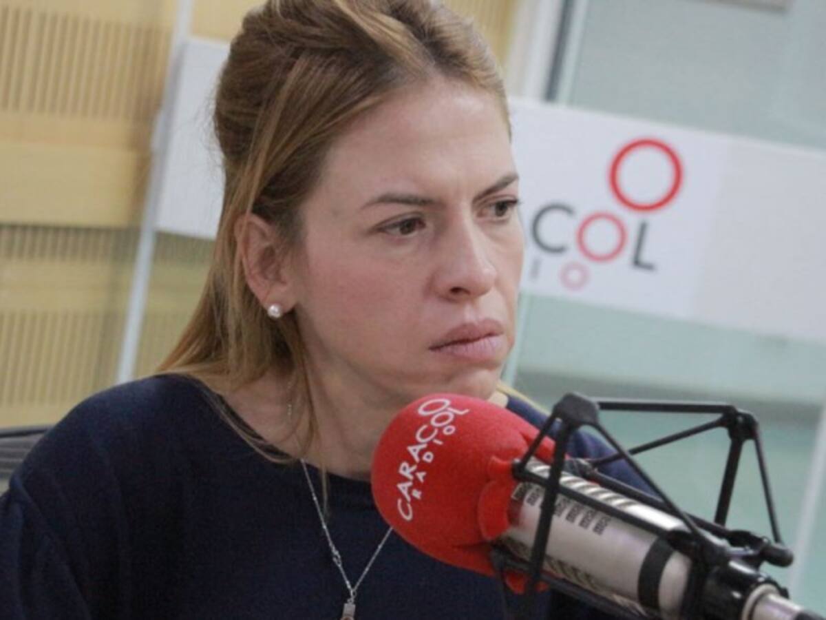 Debate sobre lo que pasa con Farc debe ser sobre la implementación: Lariza