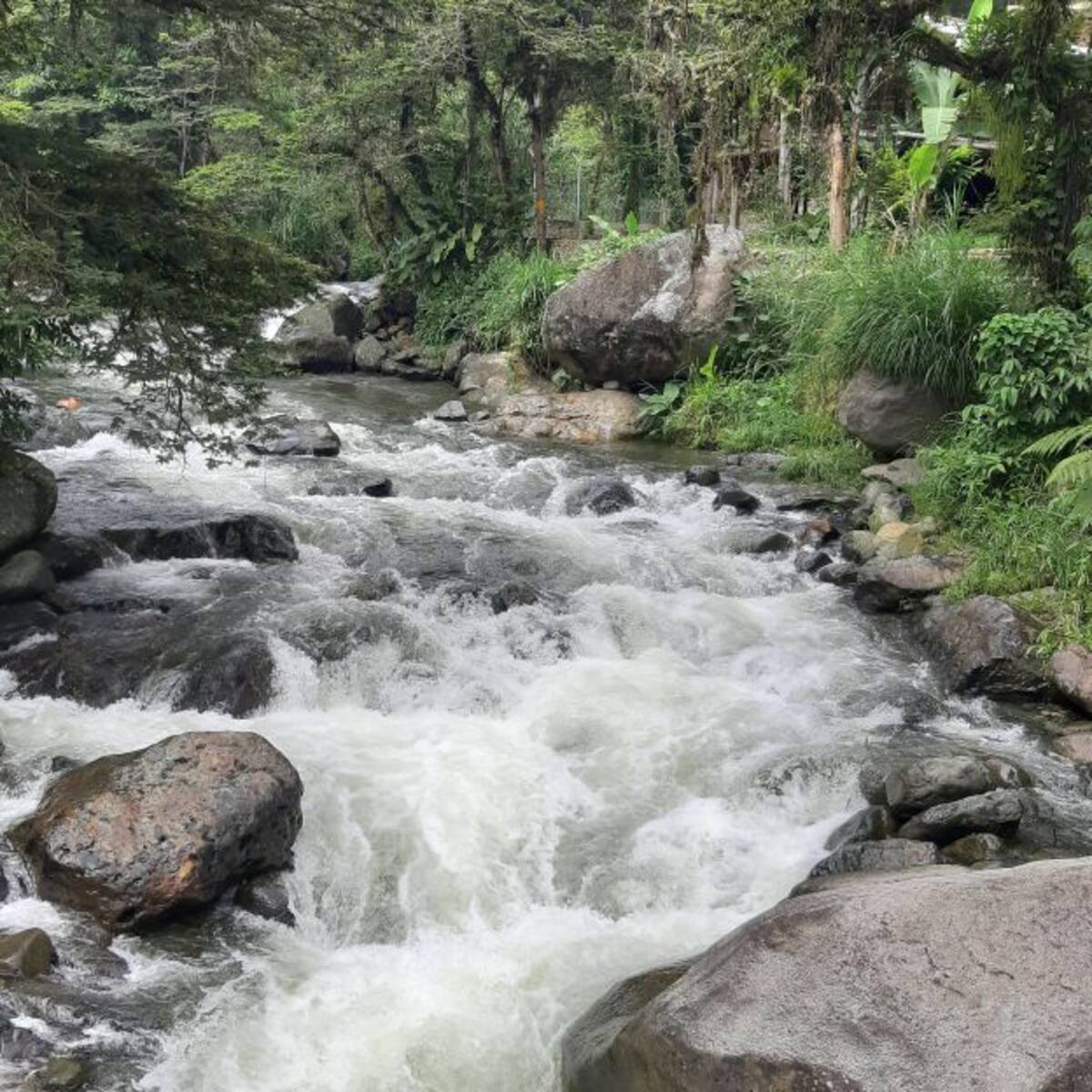 Jornada de limpieza del río Pance este domingo 22 de agosto