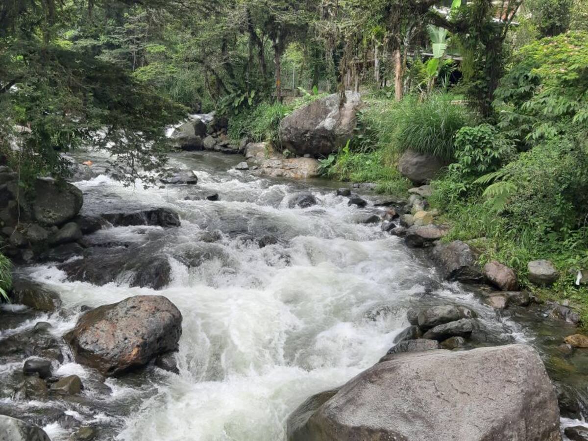 Jornada de limpieza del río Pance este domingo 22 de agosto