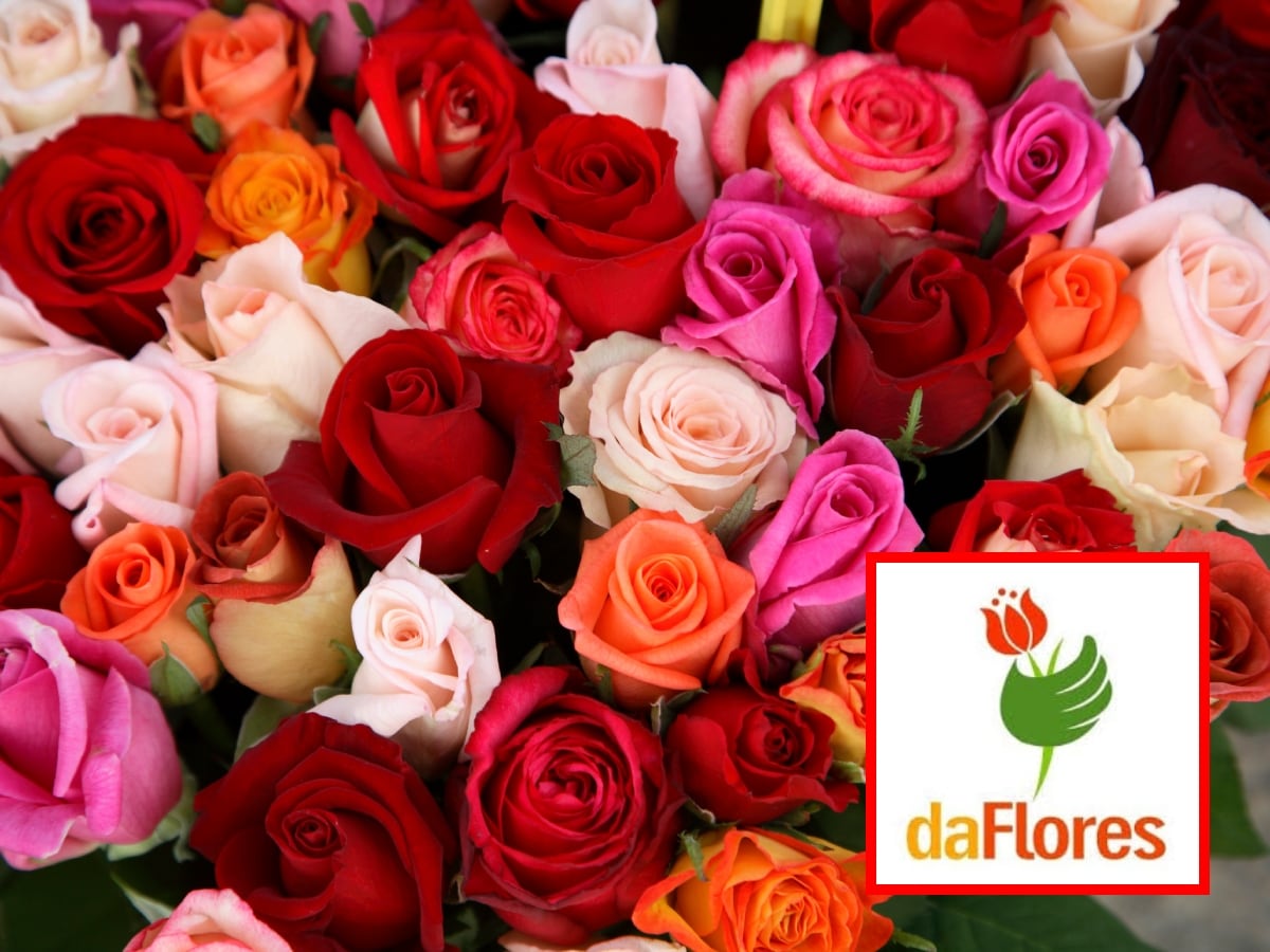 Flores, imagen de referencia. Foto: getty Images/ daFlores.com