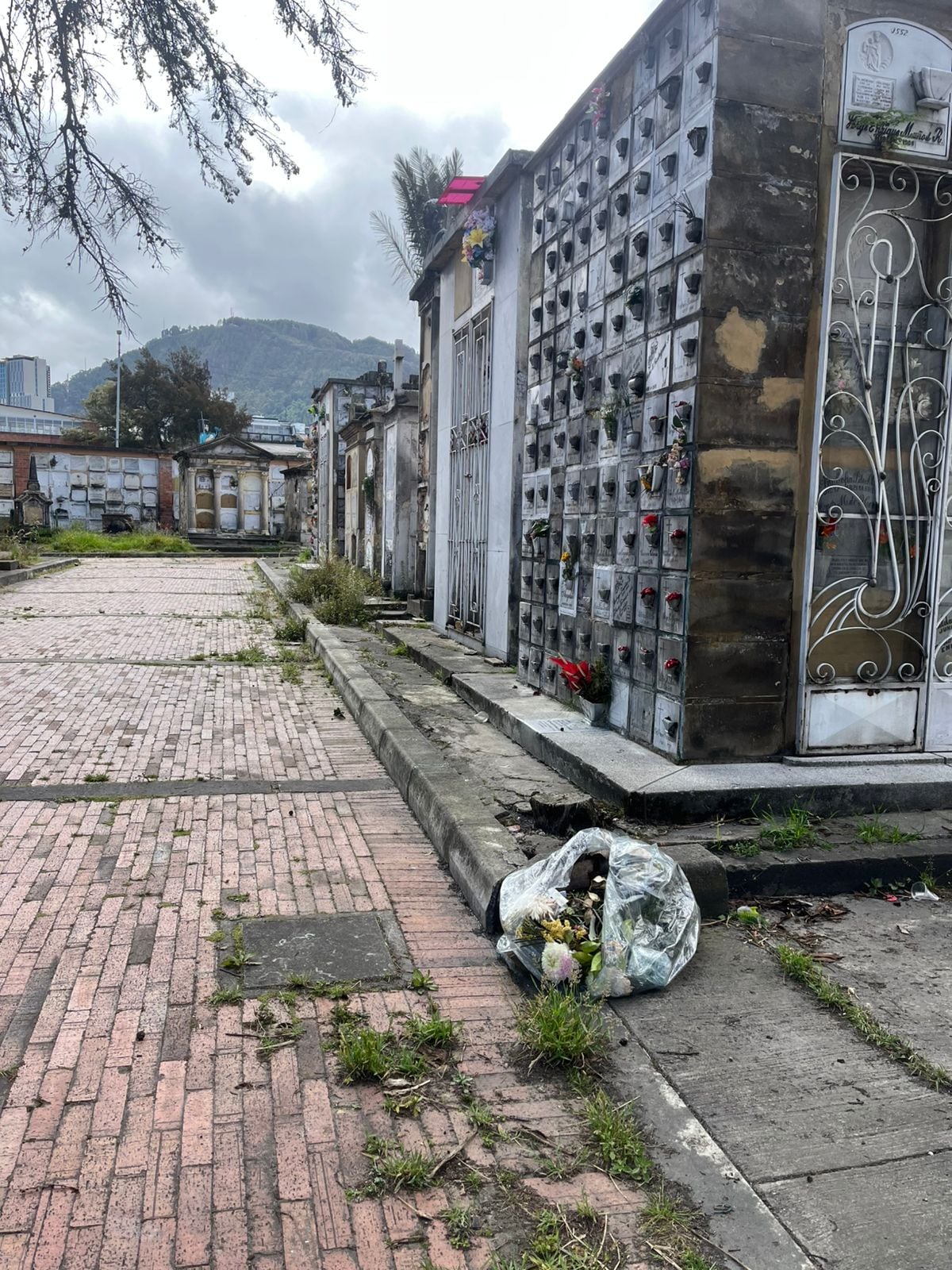 Cementerio Central en Bogotá. Foto: Caracol Radio
