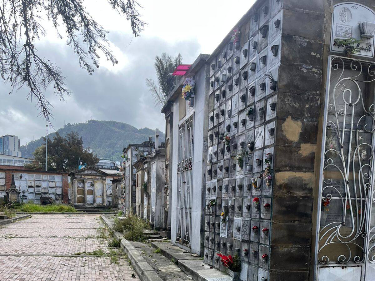 Cementerio Central de Bogotá, convertido en un basurero: visitante denunció abandono del lugar