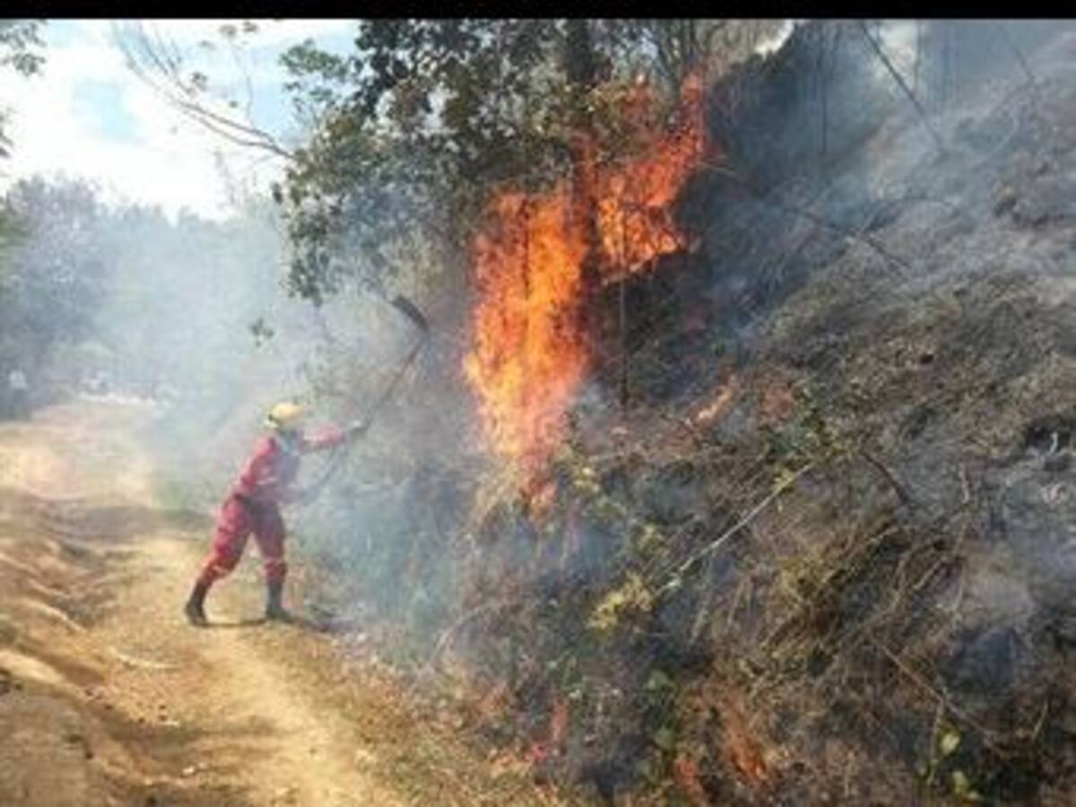 125 incendios forestales han atendido este año en Antioquia
