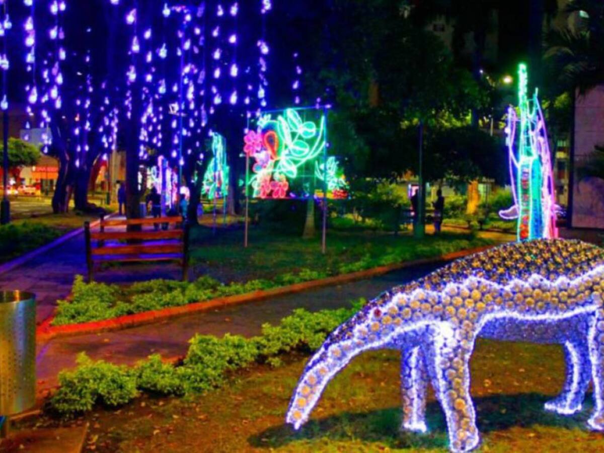 El 1 de diciembre se enciende el alumbrado navideño en Bucaramanga